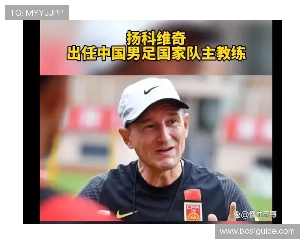 不同国家队世界杯队长的选拔标准与任命流程详解